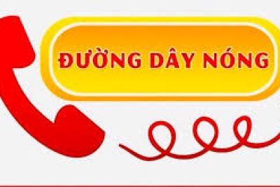 Đường dây nóng phản ánh  về hoạt động dạy thêm trái quy định của giáo viên đang giảng dạy tại Trường THCS Tân Thanh.